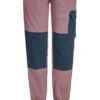 Jack Wolfskin Kids Villi Stretch Pants 2 Jack Wolfskin Kids Villi Stretch Pants -Freien Bekleidungs Geschäft jack wolfskin kids villi stretch pants 23a jaw 1610011 ash mauve 1 1280x1280