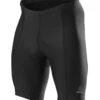 Loeffler Löffler M Bike Short Tights Basic 2 Loeffler Löffler M Bike Short Tights Basic -Freien Bekleidungs Geschäft loeffler m bike short tights basic 20a lfl 04835 black 1 1280x1280